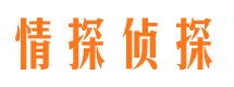 青云谱侦探